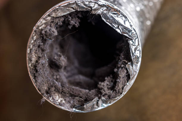 Best Commercial Air Duct Cleaning  in Dunlap, IA